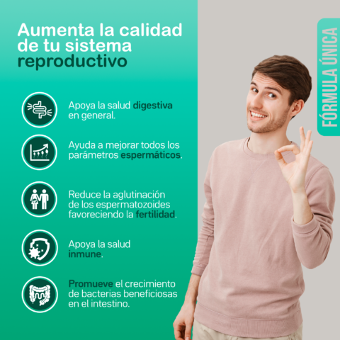 2024_PROBIOTIC DAD_INFOGRAFIA_ES_2